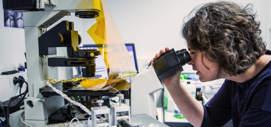 Tomorrow's materials: the advantages of paper, plus resistance to humidity?