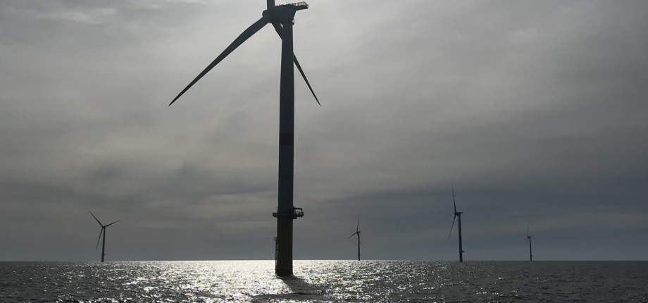 À IP Paris, la mécanique des fluides au service des éoliennes flottantes et de la diversification énergétique