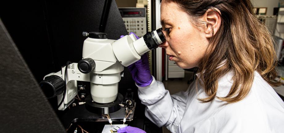 Master Year 2 BioMedical Engineering (BME)