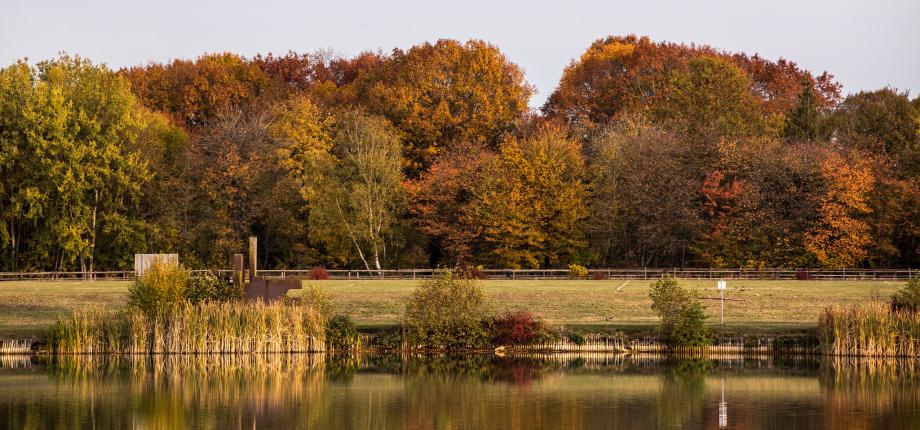 Master 1 Économie de l’Environnement, de l’Énergie et des Transports (EEET)