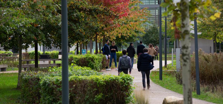Mention Économie de l’Environnement, de l’Énergie et des Transports (EEET)