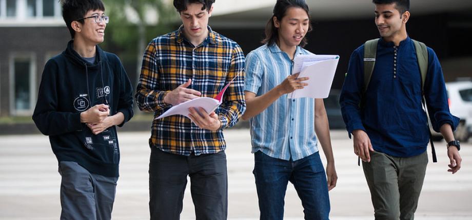 Undergraduate programs