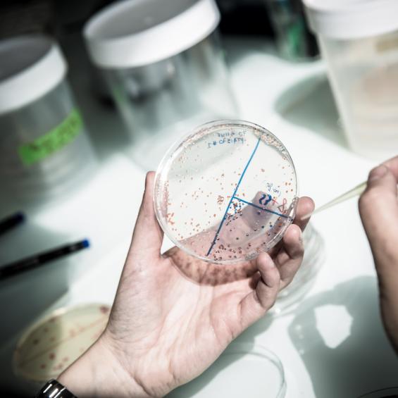 La mécanique enzymatique, levier d’action contre l’antimicrobiorésistance