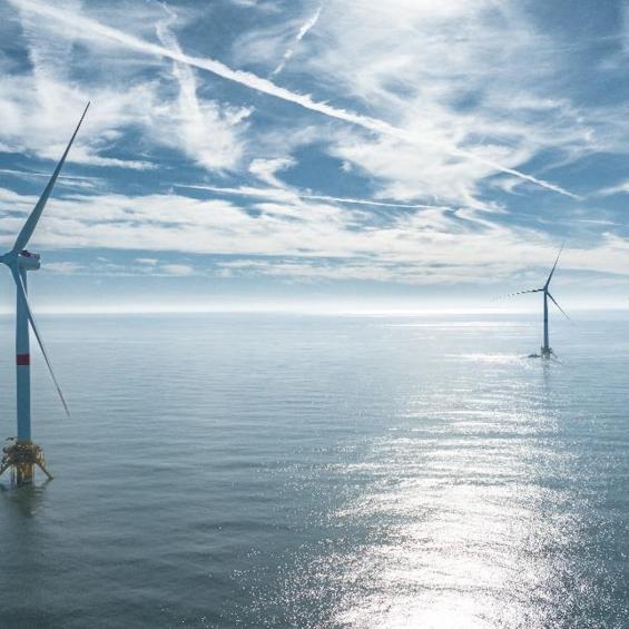 IP Paris remporte un appel à manifestation d’intérêt pour former des experts en éolien flottant