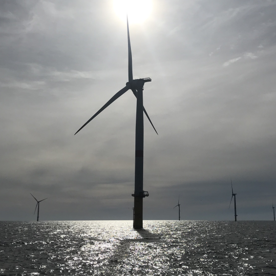 At IP Paris, fluid mechanics is being used to develop floating wind turbines and diversify energy sources