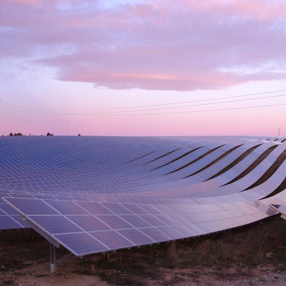 At IP Paris, research aims to improve public tendering mechanisms for subsidizing renewable energies