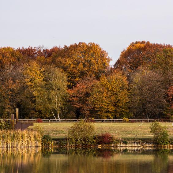 Master 1 Économie de l’Environnement, de l’Énergie et des Transports (EEET)