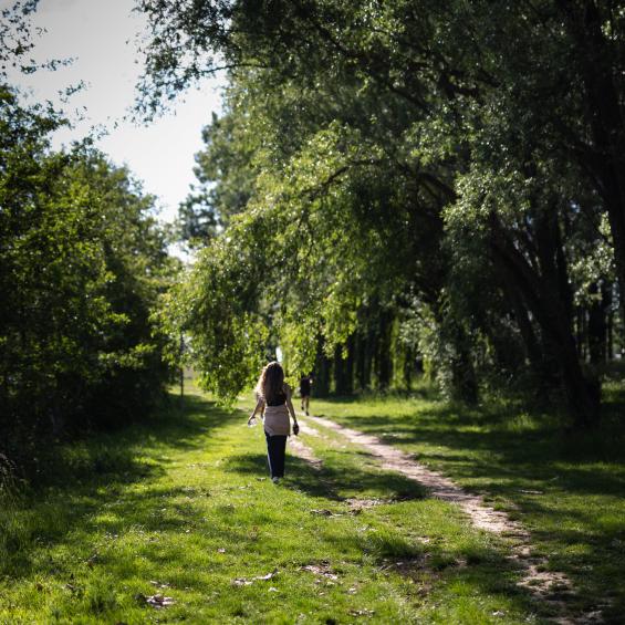 Master 2 Économie de l’Environnement et du Développement Durable