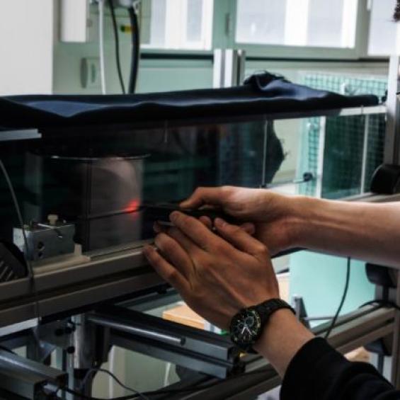 Master Year 2 Mechanics