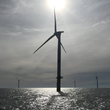 À IP Paris, la mécanique des fluides au service des éoliennes flottantes et de la diversification énergétique