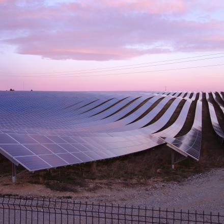 At IP Paris, research aims to improve public tendering mechanisms for subsidizing renewable energies