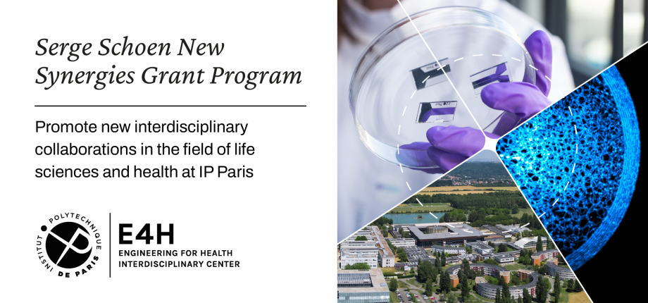 Serge Schoen New Synergies Grant Program