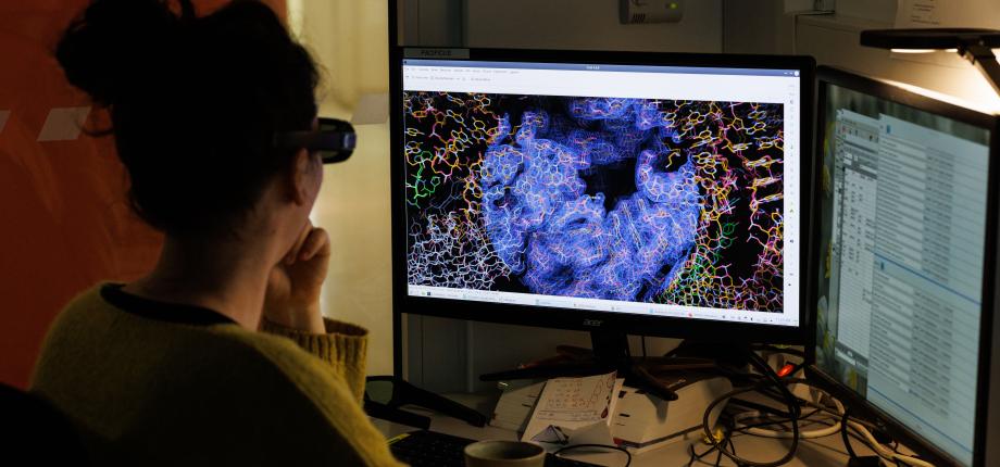 Modélisation prédictive des systèmes vivants