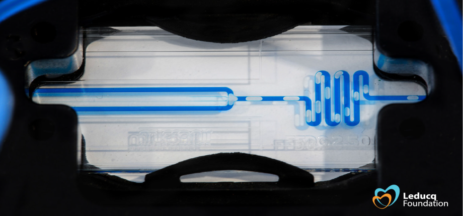 Leducq Platform - Microfluidics and High-Resolution Imaging