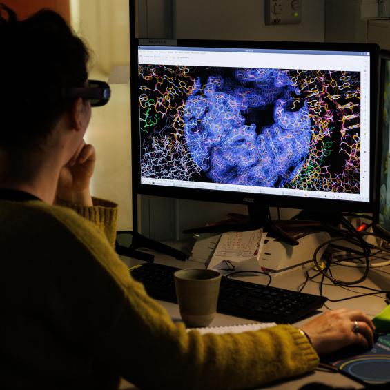 Predictive Modeling of Living Systems