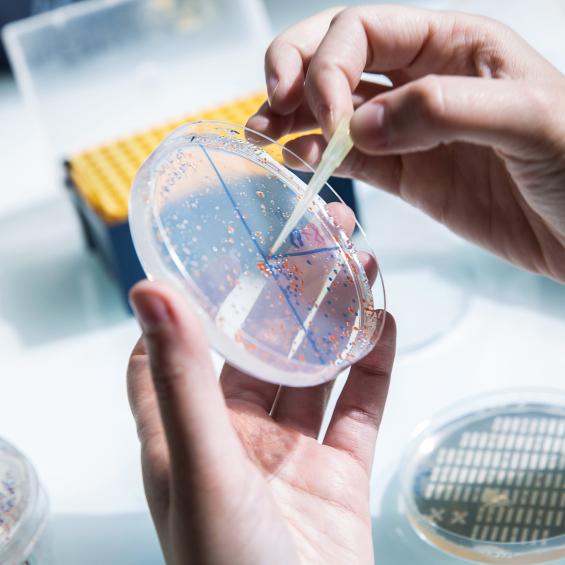 PhD Track Bioengineering and Quantitative Life Sciences