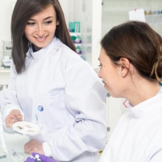 PhD Track bio engineering