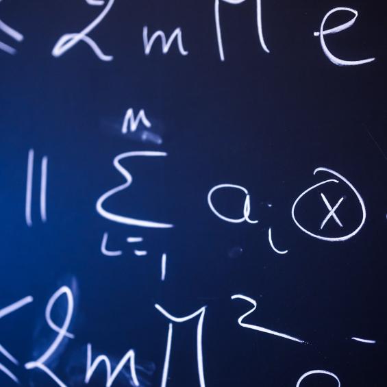 Master Year 2 Mathematics for Life Sciences